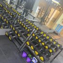 펄슨피티 이미지