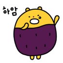 쿨데삭 이미지