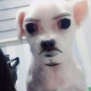 현희바지락칼국수