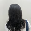 헤어재인 이미지