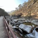 롯데슈퍼강릉입암점 | 가을 강릉 캠핑 명소 소개와 트렌드 리뷰