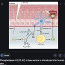 이해하기 쉬운 생화학 3장. 효소 enzyme 이미지