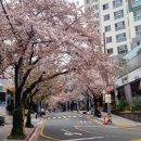 수북한 돼지국밥 이미지