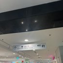 무지개연합의원 이미지