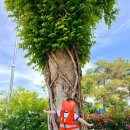 달서유치원 이미지