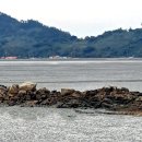 큰몰민박 이미지