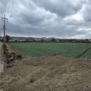 한림자동차공업사 이미지