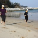 흥남해수욕장 이미지