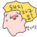 소가야횟집