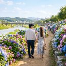 유구색동수국협동조합 | 공주 유구색동수국정원 수국축제 1박2일로 아내와 다녀온 후기
