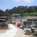 오계초등학교 이미지