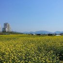 안정식당 이미지