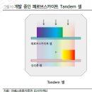 한화솔루션_기본분석