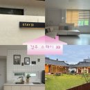 스테이33 | 경주 가성비 숙소 스테이33 객실 203호 내돈내산 후기(단체 숙소, 애견 동반 가능)