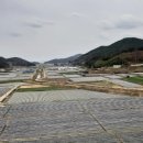 명교해수욕장 이미지