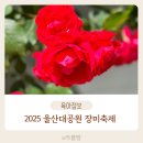 아이랑주말나들이 2025 5월 울산대공원 장미축제 완전 정복