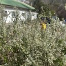 신흥안길 40-15 | 서울 야외결혼식 헤이스가든 상담, 4월의 잔디와 나무 모습 기록