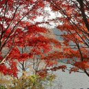 아름다운상사 이미지