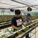 박대성농장 이미지