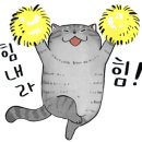 에이스출장세차 이미지