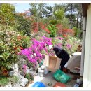 담양 반딧불 이미지