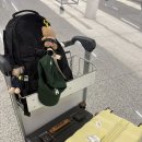 항공(쓰촨항공) 타고 청두 경유해서 카이로까지 후기/청두 공항 환승/사천 항공 청두 경유 무료 호텔...