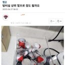 탕비실 이미지