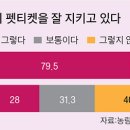 양집사네