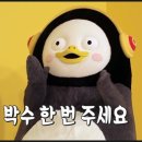 돌펀치복싱체육관