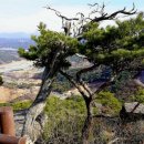 1714 | 바위위에 서 있는 아름다운 정취암입니다