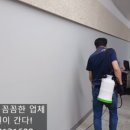 학교급식 개미 이미지