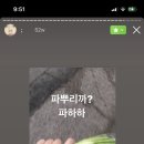 세무법인해조 - 남구 남중로 17 | 세무법인해조