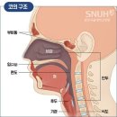둔산동보컬학원 KW실용음악학원 보컬레슨 받은 솔직후기😀