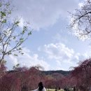 모장경로당 이미지