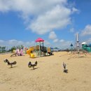 배곧한울공원 이미지