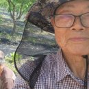 서씨농장 이미지