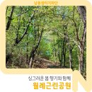 월례근린공원 이미지