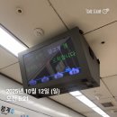 주식회사 남산 | 인싸(호소인)들이 모인 2025 서울레이스 하프 참가 후기