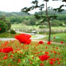 태인컨트리클럽 이미지