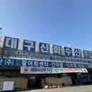대구 활쭈꾸미 맛집 매천시장 대구 신화수산 활쭈꾸미 샤브샤브