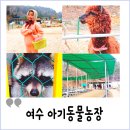 한우농장 | 여수 아기동물농장 동물먹이주기 승마체험 아이랑 미니 동물원