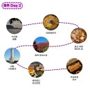 혼디2 | 강아지랑 제주여행 2일차 - 동백포레스트 애견동반 후기와 제주혼디 성산 본점
