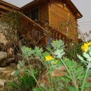 새이모퉁이 이미지