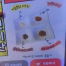 신미관 이미지