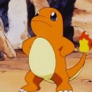 부부짐 휘트니스 이미지