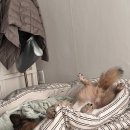 클래스마트 이미지