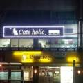catsholic cattery 이미지