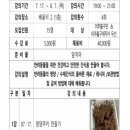 댕댕대학 간식학과 이미지
