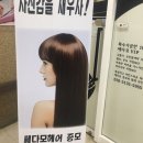 쎄다모 이미지