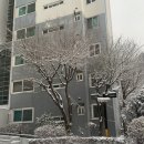 가또네일 이미지